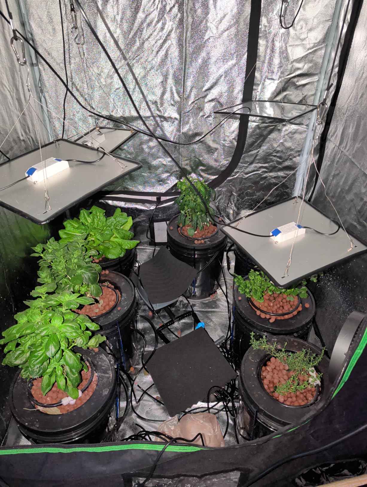 VIVOSUN DWC Hydroponics Grow System with Top Drip Kit, 5-Gallon Deep Water Culture, Recirculating Drip Garden System with Multi-Purpose Air Hose, Air Pump, and Air Stone customer photo 1