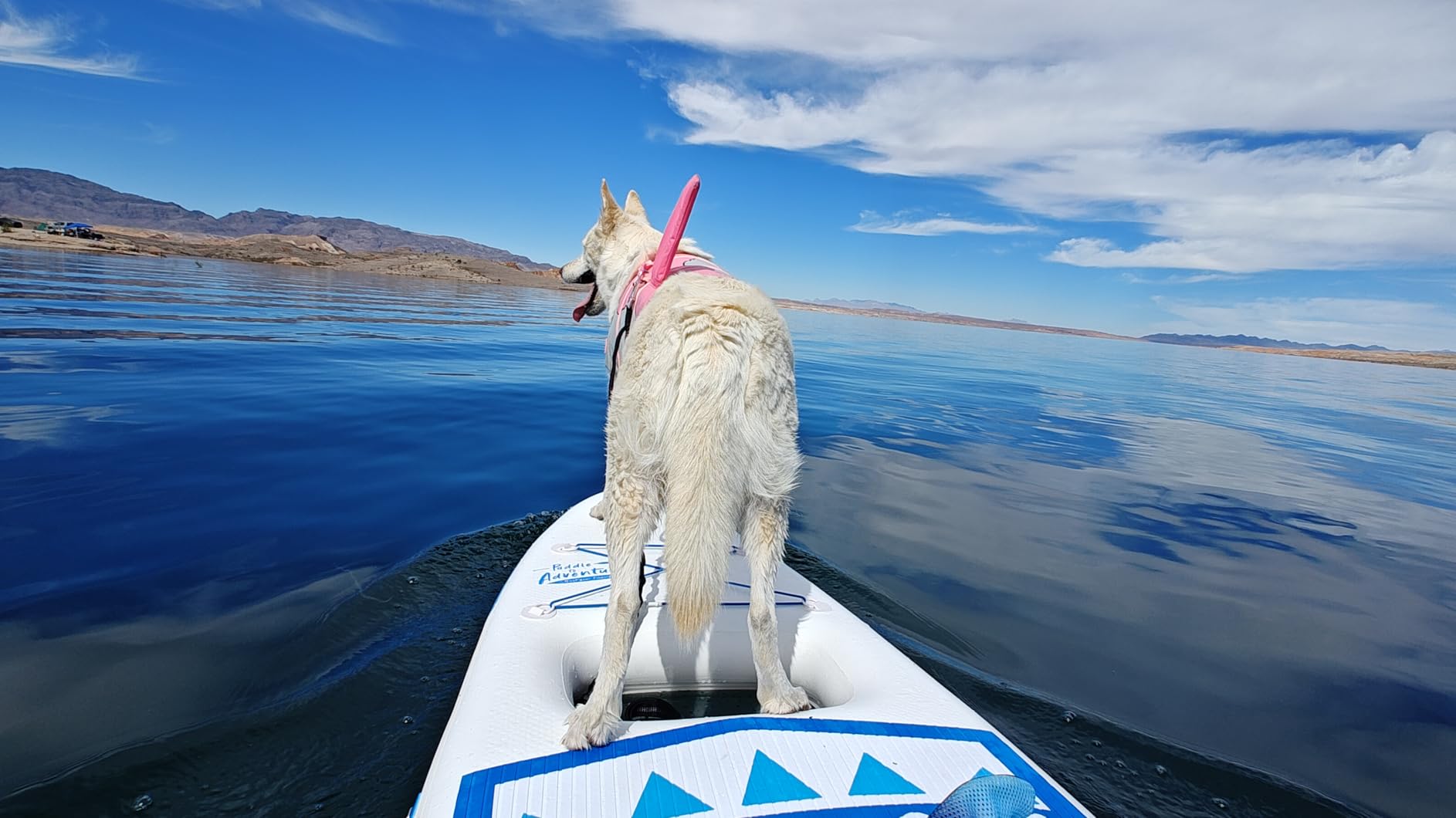 LEDONNE SUP Electric Fin Underwater Thruster Electric Surfboard Electric Surf Fin Electric Fin Thruster for Surfboard Electric SUP Fin Kit customer photo 1