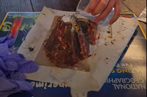 National Geographic Mega Science Lab - Kit for Kids with 75 Easy Experiments, Featuring Earth Science, Chemistry Set, and Magic STEM Projects for Boys and Girls (Amazon Exclusive) customer photo 2