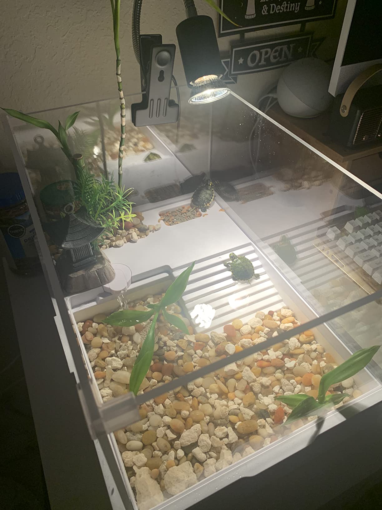 Acrylic Turtle Tank Aquarium with Quiet Water Pump, 3.96gallons, 360 View, Easy to Assemble, Durable for Small Turtles and Reptiles customer photo 1