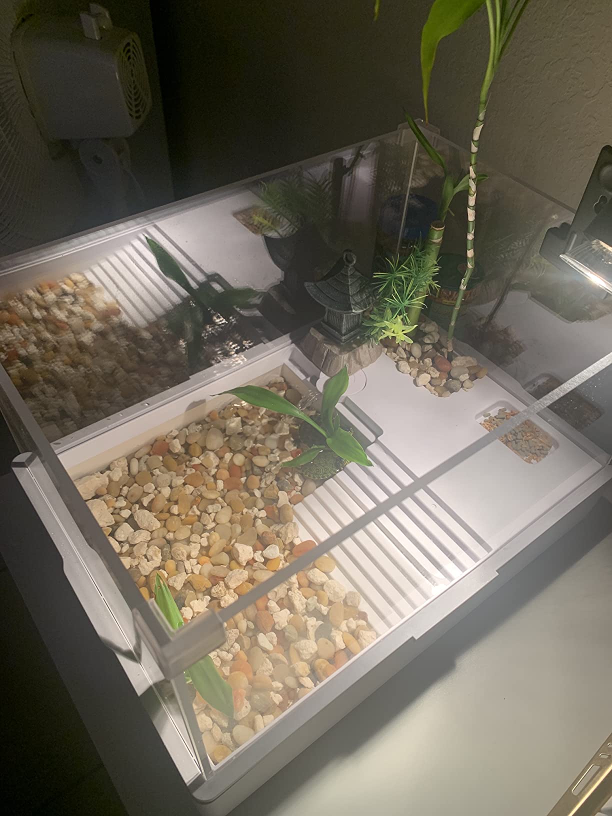 Acrylic Turtle Tank Aquarium with Quiet Water Pump, 3.96gallons, 360 View, Easy to Assemble, Durable for Small Turtles and Reptiles customer photo 2