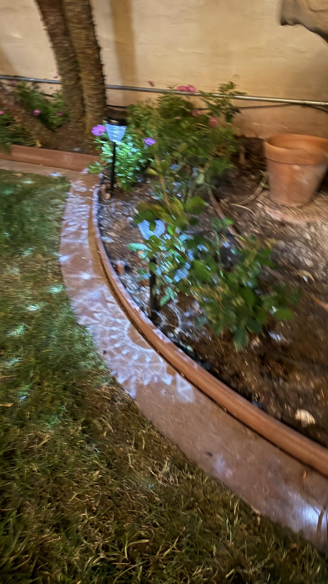 Super Bright Solar Lights Outdoor Waterproof-10 Pack, Dusk to Dawn Up to 12 Hrs Solar Powered Outdoor Pathway Garden Lights customer photo 1