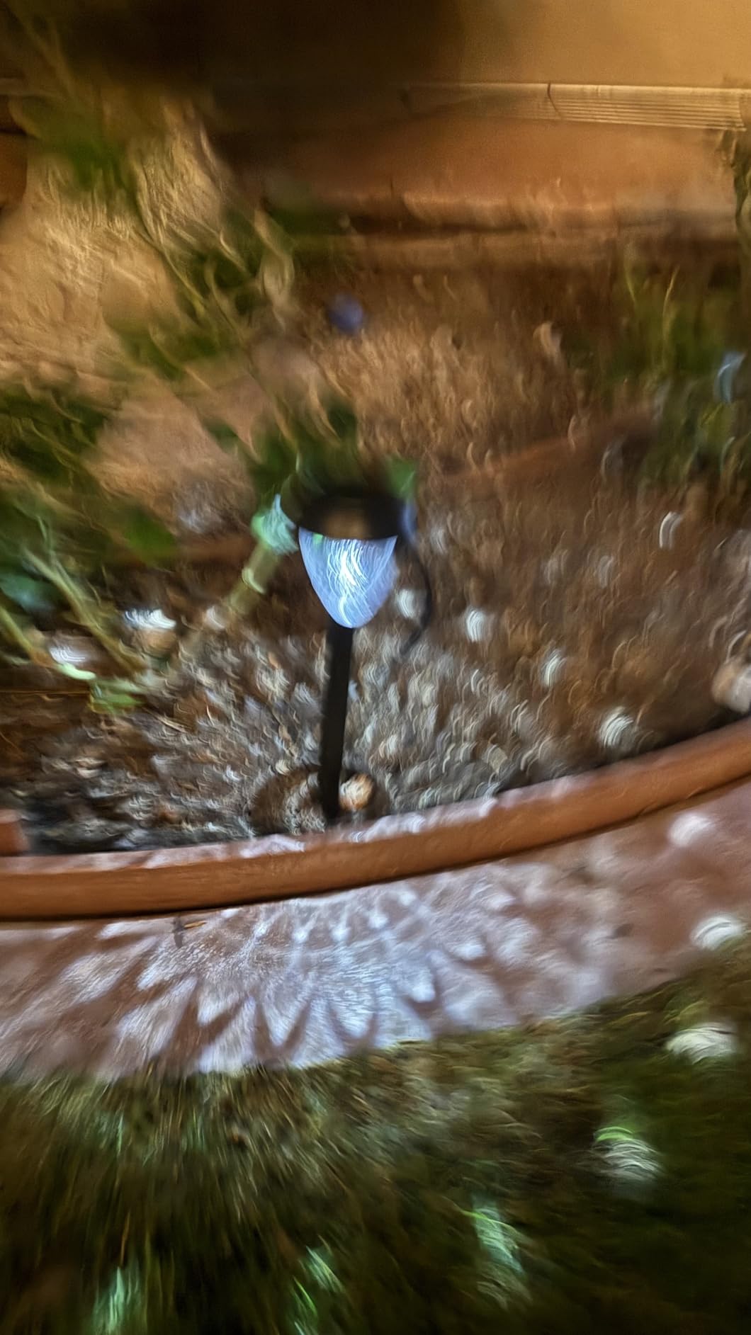 Super Bright Solar Lights Outdoor Waterproof-10 Pack, Dusk to Dawn Up to 12 Hrs Solar Powered Outdoor Pathway Garden Lights customer photo 2