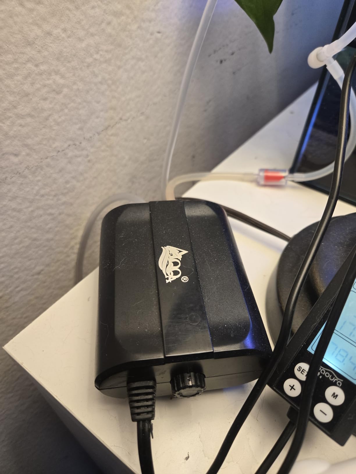 AQQA Aquarium Air Pump,3.5W 5W Dual Outlet Oxygen Pump with 2 Air Stone,Adjustable Air Valve Quiet Bubbler Pump,Up to 160 Gallon Fish Tank (3.5w) customer photo 1