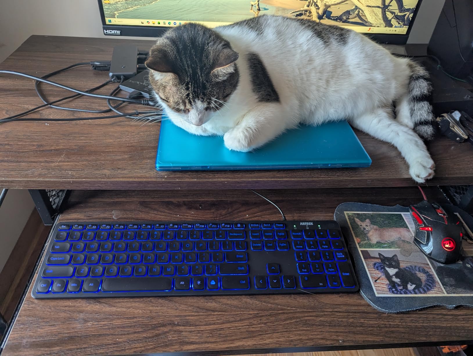 Arteck Backlit USB Wired Full Size Keyboard with Media Hotkey for PC and Laptop customer photo 1