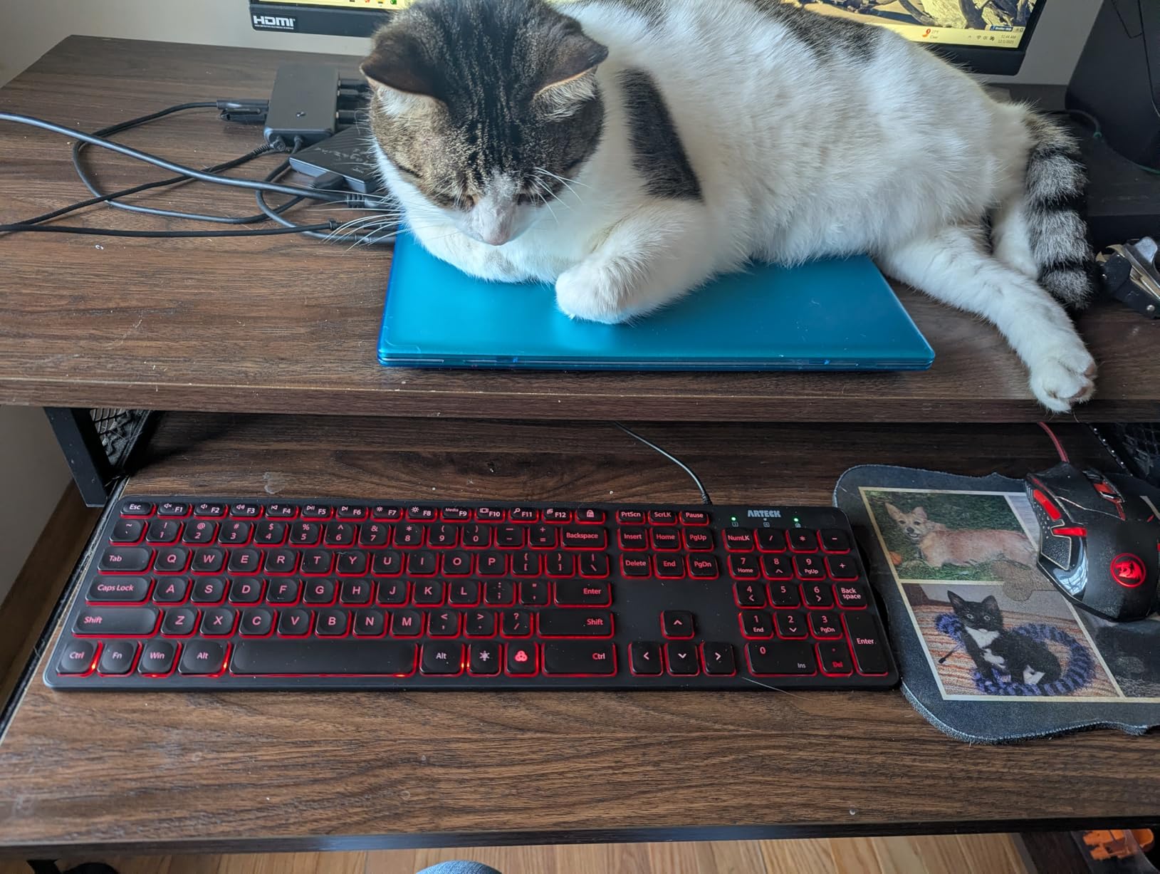 Arteck Backlit USB Wired Full Size Keyboard with Media Hotkey for PC and Laptop customer photo 2