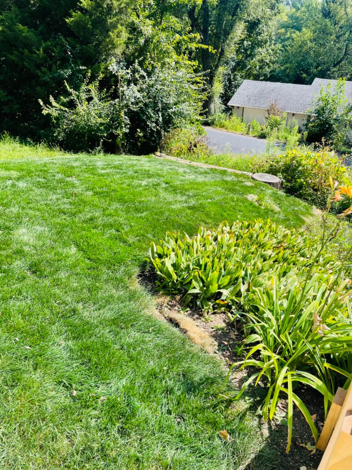 Greenworks 60V 21