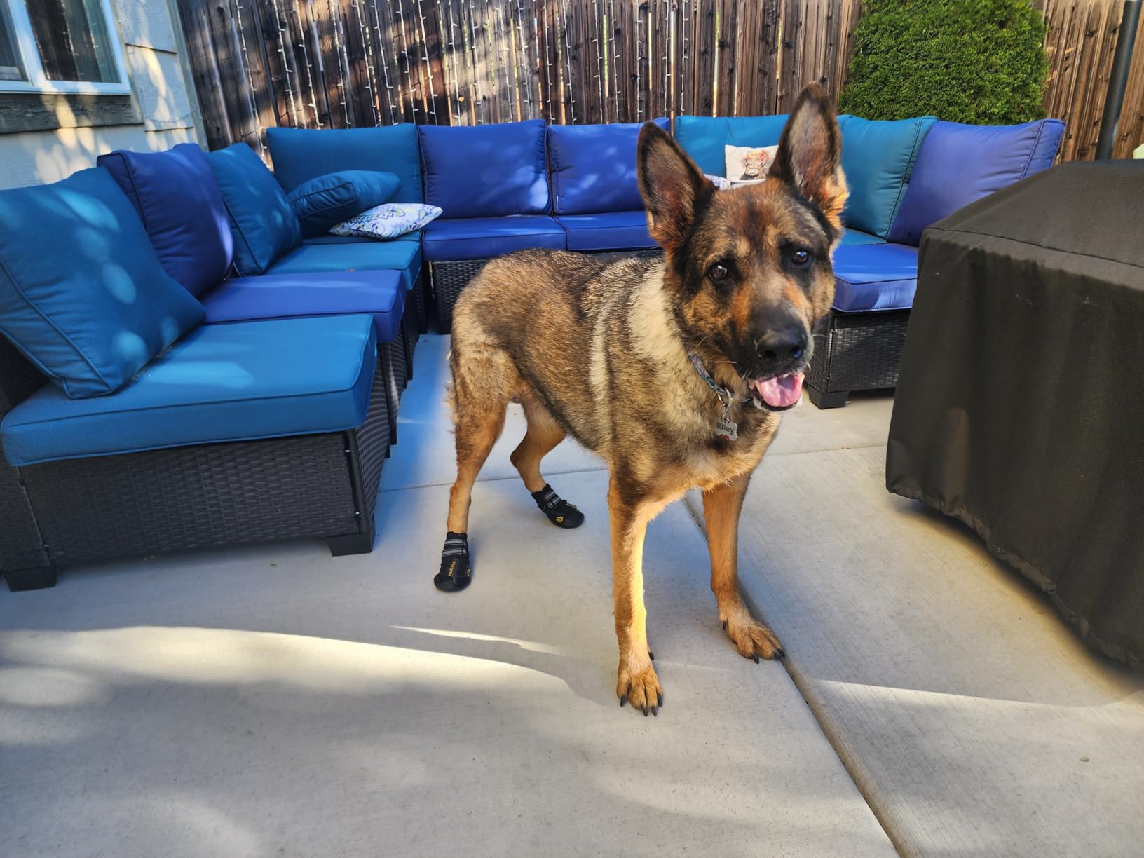 DcOaGt Dog Shoes for Large Dogs, Waterproof Anti-Slip Dog Boots & Paw Protectors for Summer Hot Pavement Winter Snow, Breathable and Reflective Dog Booties for Hiking/Walking/Outdoor/Floor customer photo 1