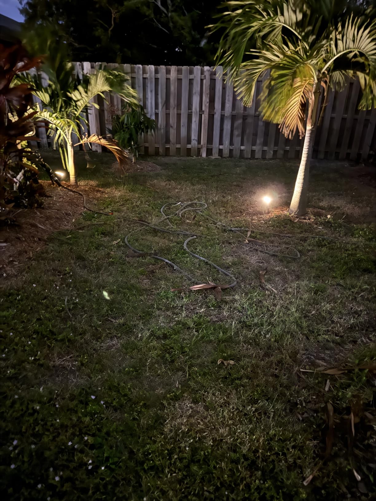 NYMPHY Solar Lights Outdoor Waterproof IP68, 56 LED 3 Lighting Modes Solar Powered Garden Yard Spot Solar Lights for Outside Landscape- 4 Pack (Cool White) customer photo 1