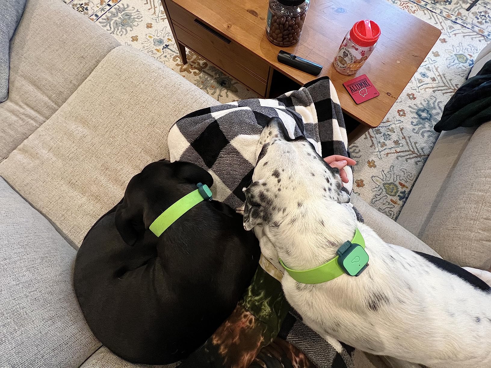 Whistle Health Smart Device | Dog Health and Fitness Tracker | Track Scratching, Licking, Drinking, Eating, Sleeping customer photo 2