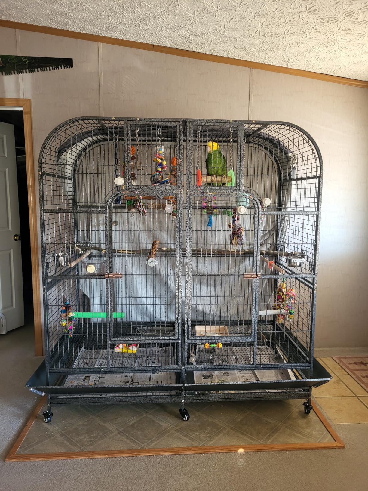 Double Cage with Center Divider for Bird Parrot Aviary W64xD32xH73 New customer photo 1