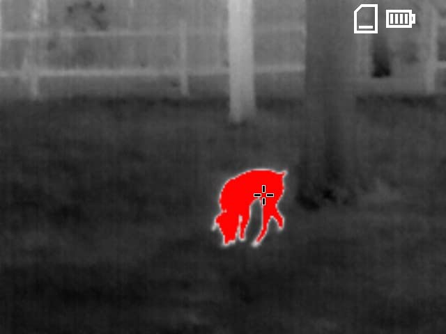 TESLONG TTS260 Thermal Imaging Monocular 256x192, IR Night Vision 25Hz,4X Digital Zoom, 8 Color Palettes, Hotspot Tracking, 32GB, USB-C FileTransfer for Hunting, Patrol, Search & Rescue customer photo 3