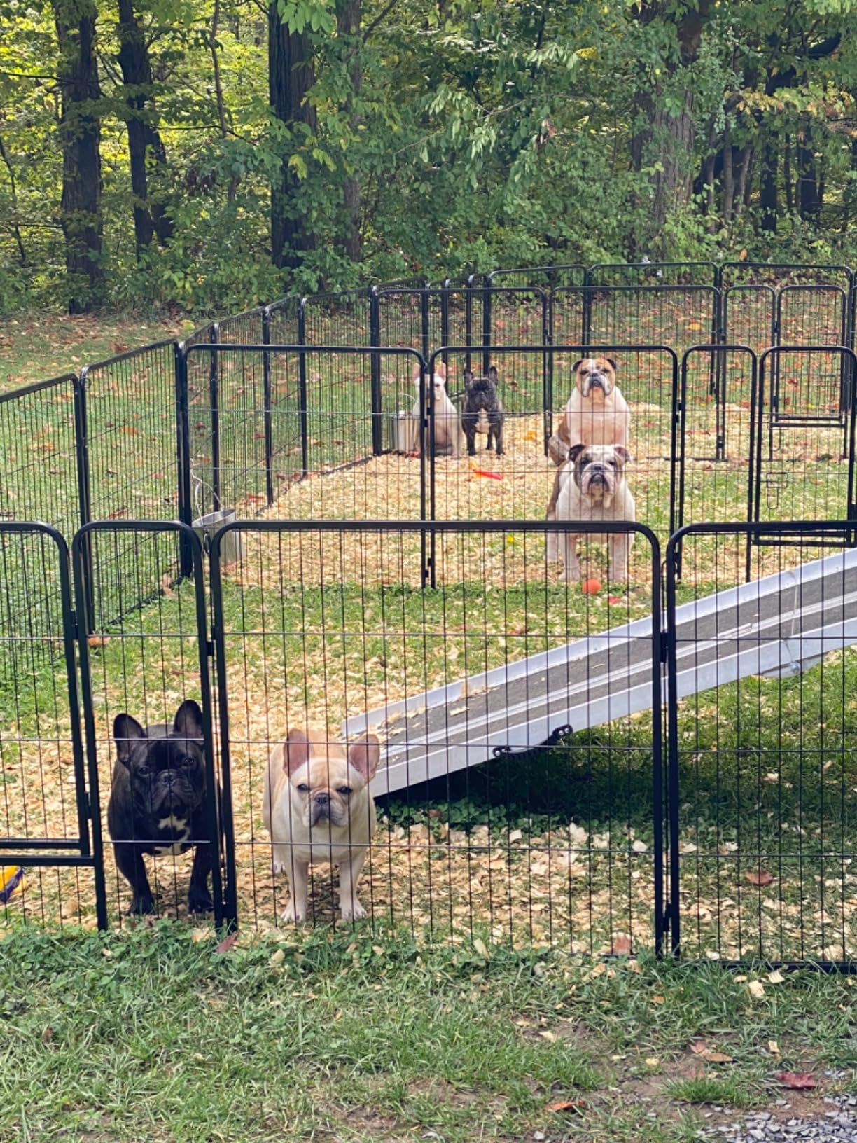 8 Feet Wheelchair Ramp, Non-Slip Aluminum Folded Handicap Ramp with Support Legs, Safer Door Threshold Wheelchair Ramps for Home, Wheel Chair Ramp for Home Steps, Stairs, Entry, Doorways customer photo 2