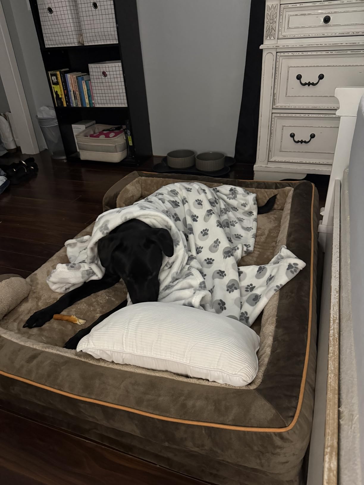 Comfort Expression Orthopedic Dog Bed for Extra Large Dogs 42x30 Inch, Waterproof Egg Crate Foam XL Pet Bed with Removable Bolsters, Dog Couch with Washable Cover & Non-Slip Bottom, Grey customer photo 2