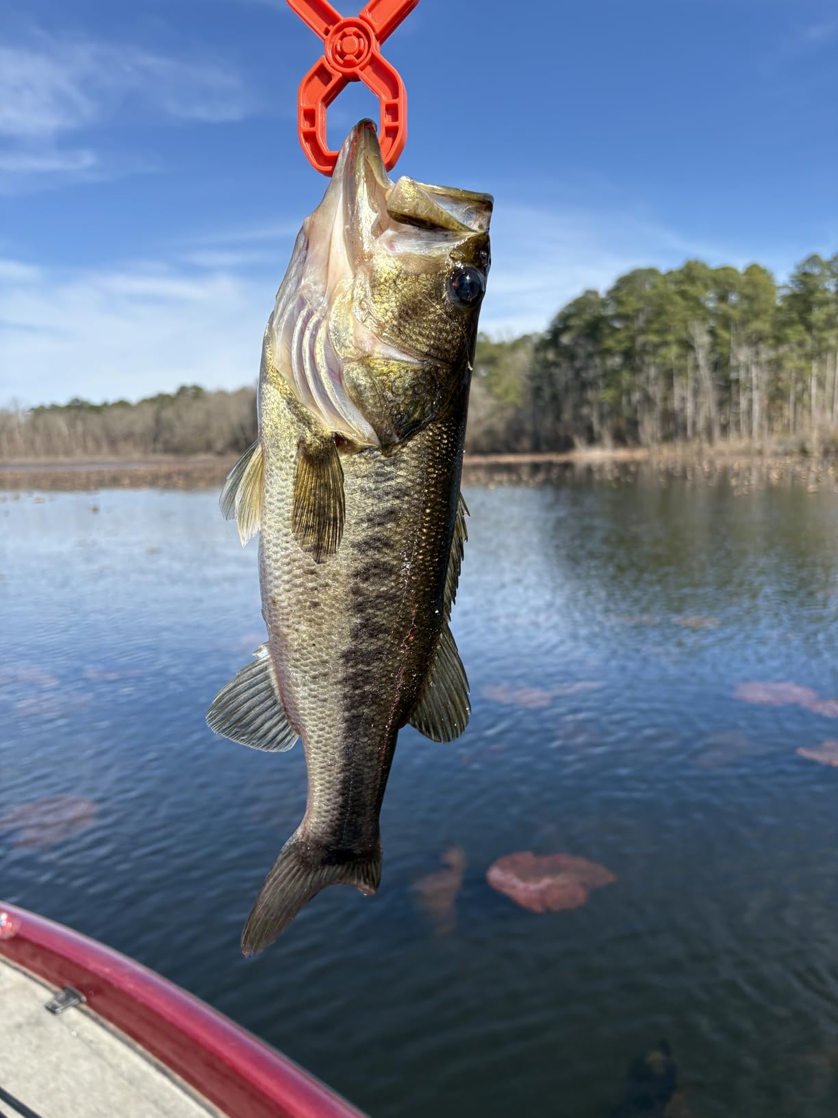 KastKing Fish Scale, WideView Floating Waterproof Digital Scale, 2.5