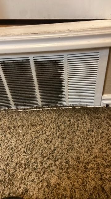 STRCEAT Handheld Pressurized Steam Cleaner, 2500W Handheld High Temp Portable Cleaning Machine, Cleaning for Couch, Auto, Floor and More (White) customer photo 1