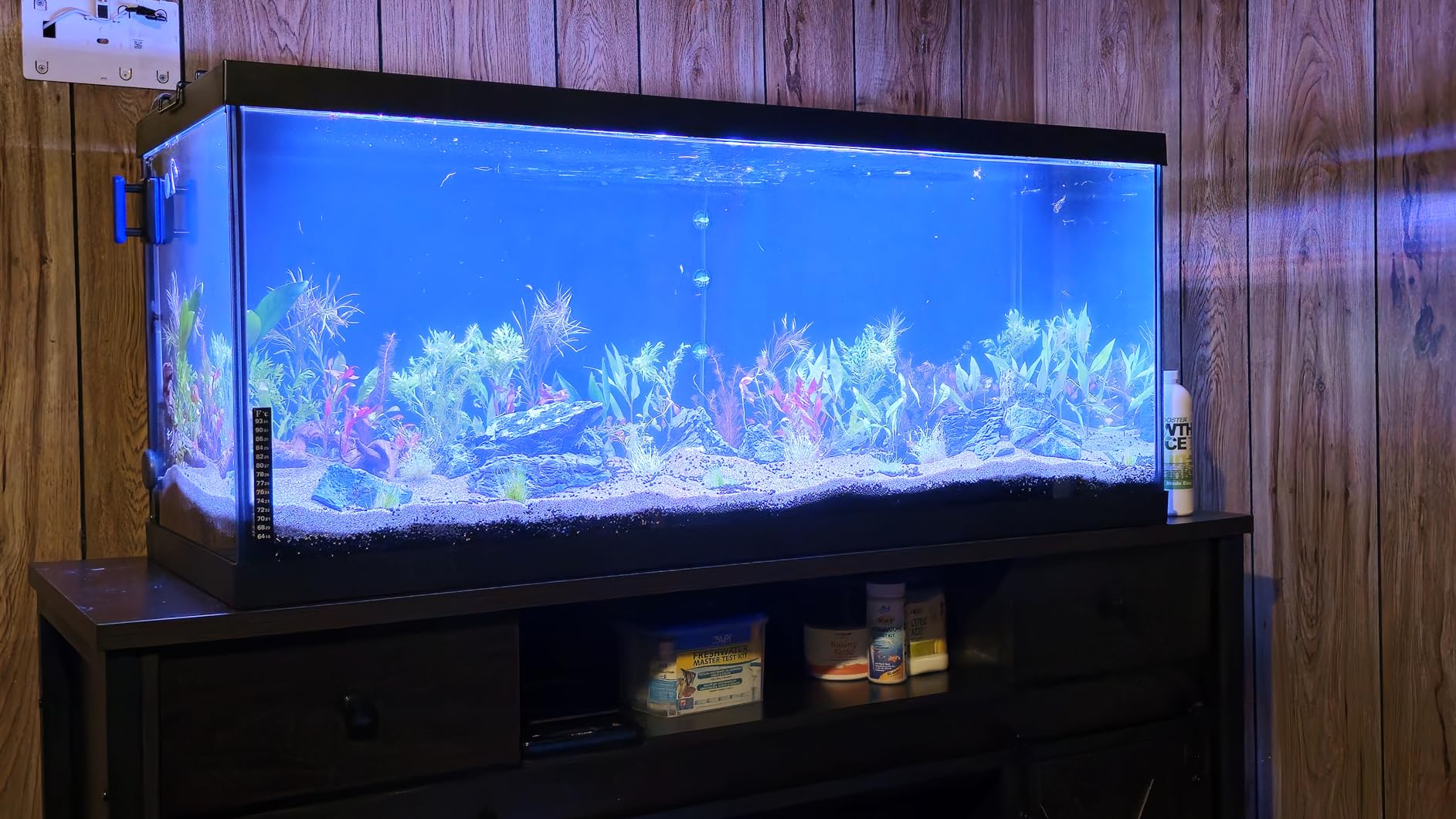 Fzone 2.5 L Aquarium CO2 Generator System Carbon Dioxide Reactor Kit with Regulator and Needle Valve for Aquarium Plants Tanks customer photo 1