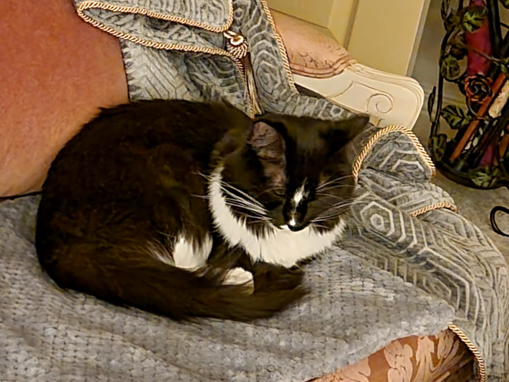 INVENHO Heated Dog Bed, Waterproof Adjustable Temperature Dog Cat Heating Pad with Timer, Indoor Pet Heating Pad for Cats Dogs Electric Pads for Dogs Cats, Pet Heated Pad (M: 28