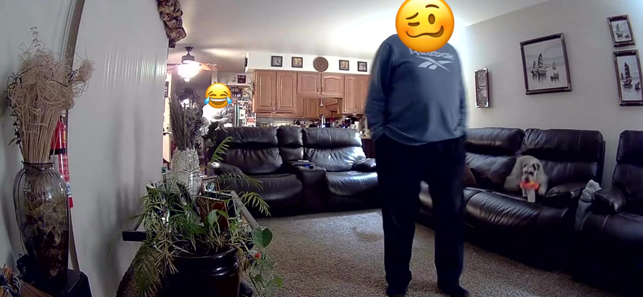 Ring Indoor Cam, Home or business security in 1080p HD video, Black customer photo 1