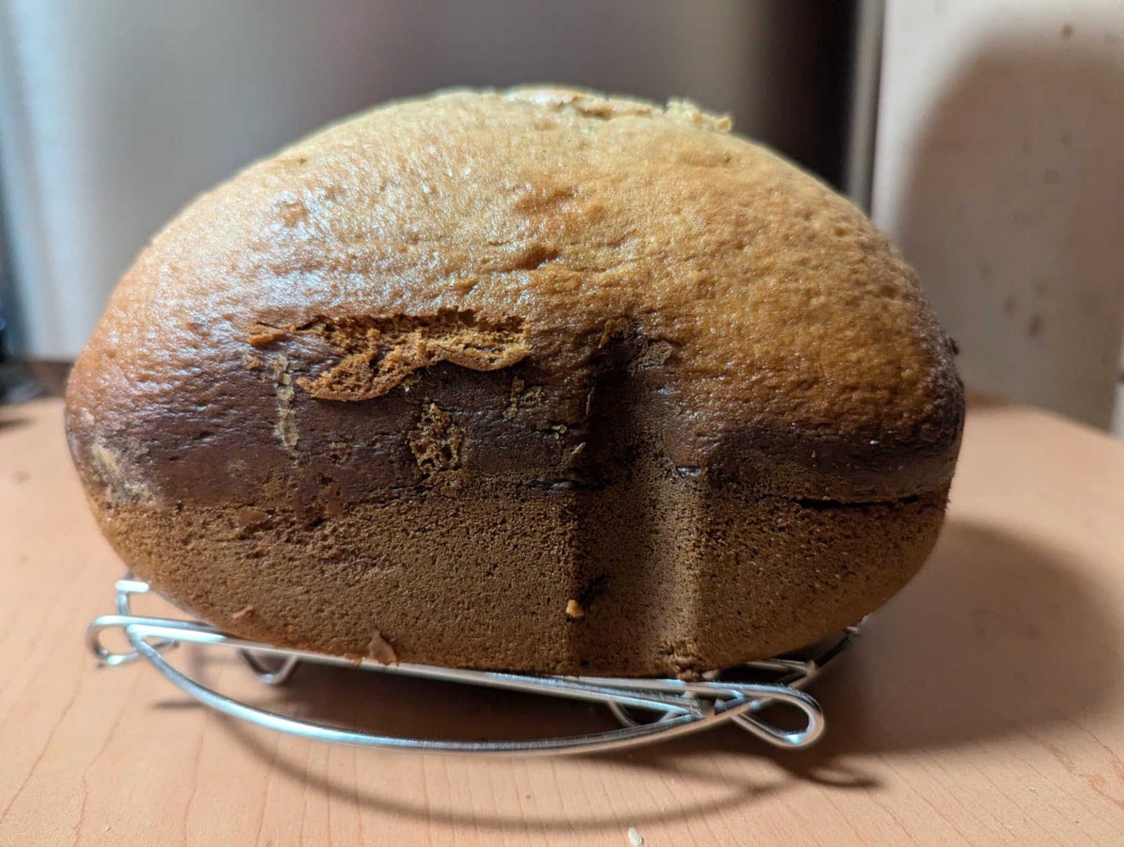 Panasonic Bread Machine, Automatic Bread Maker with 20 Presets and Advanced Temperature Sensor for Bread, Cake, and Pizza, Gluten Free Baking, Raisin Nut Dispenser - SD-R2550 customer photo 2