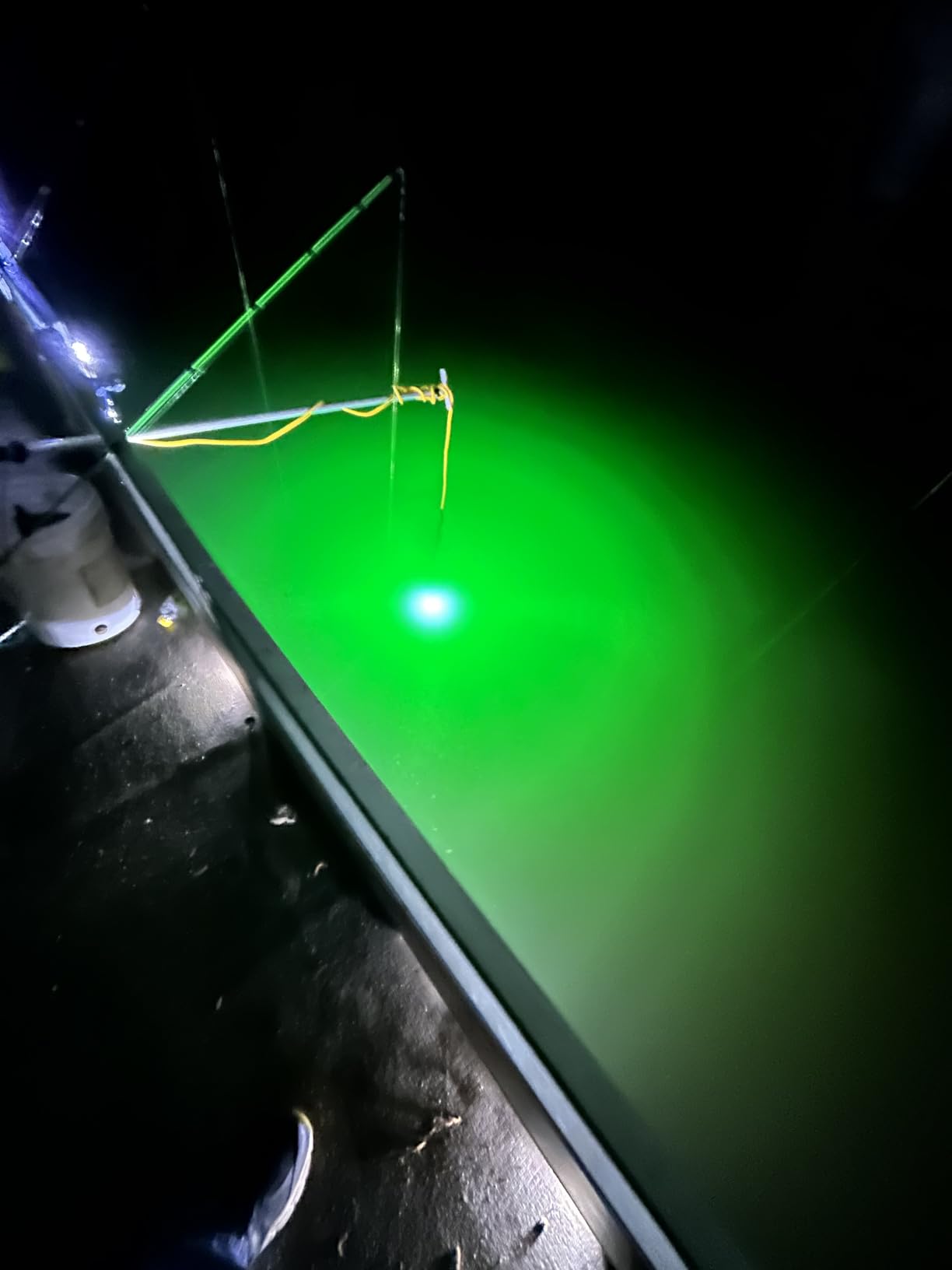 Underwater Fishing Light, 110V & 12V Super Bright Green LED Submersible Light Attractants for Docks, Boats or Kayaks, IP68 Rated (30ft Cable) customer photo 2