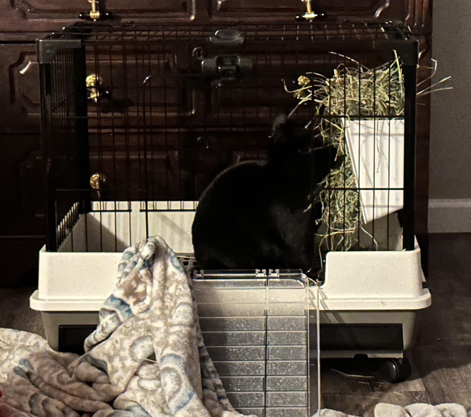 Large 5-Tiers Deluxe in/Outdoor Chinchilla Ferret Squirrel Hedgehog Kitten Rabbit Bunny Hutch House Critter Habitat Mesh Floor Easy Clean 2-Inch Deep Pull Out Tray with Rolling Casters customer photo 1