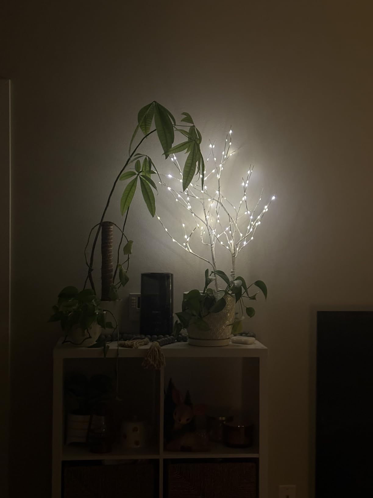 Humidifiers for Bedroom, 2.0L Cool Mist Humidifier for Home Plant and Baby Nursery, Quiet Ultrasonic Humidifier with 360° Nozzle, Auto Shut-Off, Filterless, Black customer photo 1