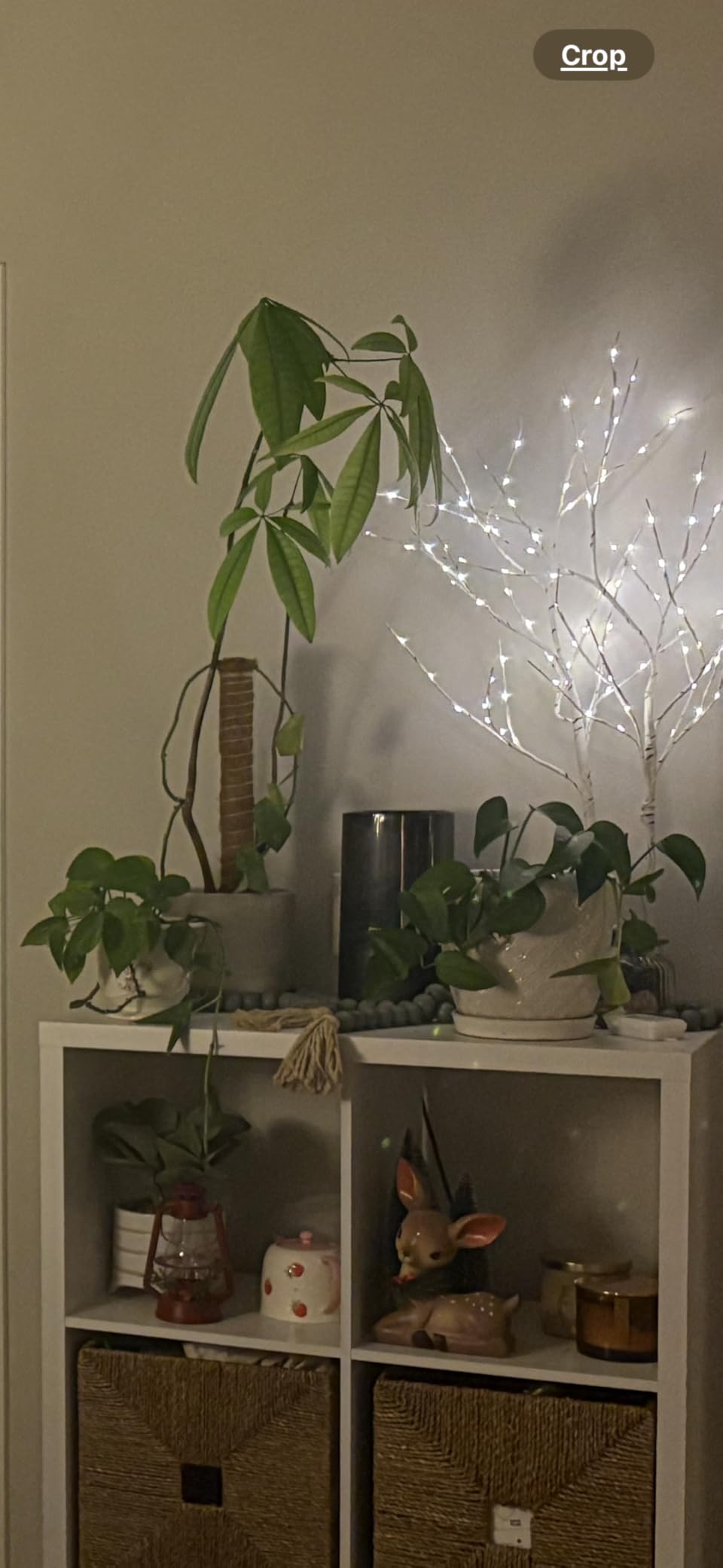 Humidifiers for Bedroom, 2.0L Cool Mist Humidifier for Home Plant and Baby Nursery, Quiet Ultrasonic Humidifier with 360° Nozzle, Auto Shut-Off, Filterless, Black customer photo 2