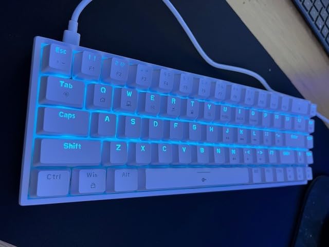 DIERYA T68SE 60% Gaming Mechanical Keyboard, Ultra Compact Mini 68 Key with Red Switches Wired Keyboard, Anti-Ghosting Keys, for Windows Laptops and PC Gamers, White customer photo 2