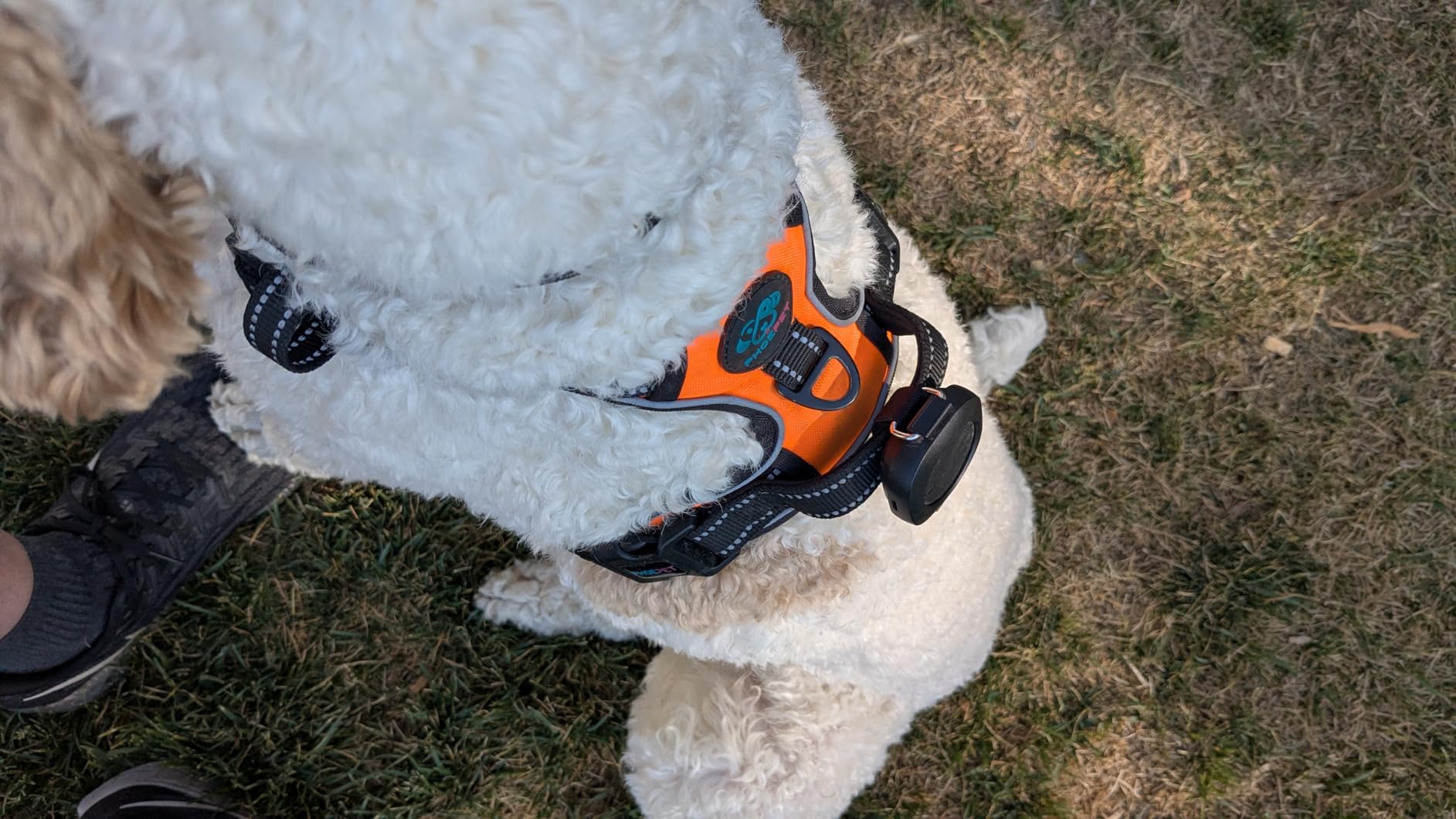 Aorkuler GPS Dog Tracker - No Phone, No Signal, No Subscription | Real-Time Direction & Distance Up to 3.5 Miles | Built for Hiking, Farms & Off-Grid Adventures (Tracker 2) customer photo 1