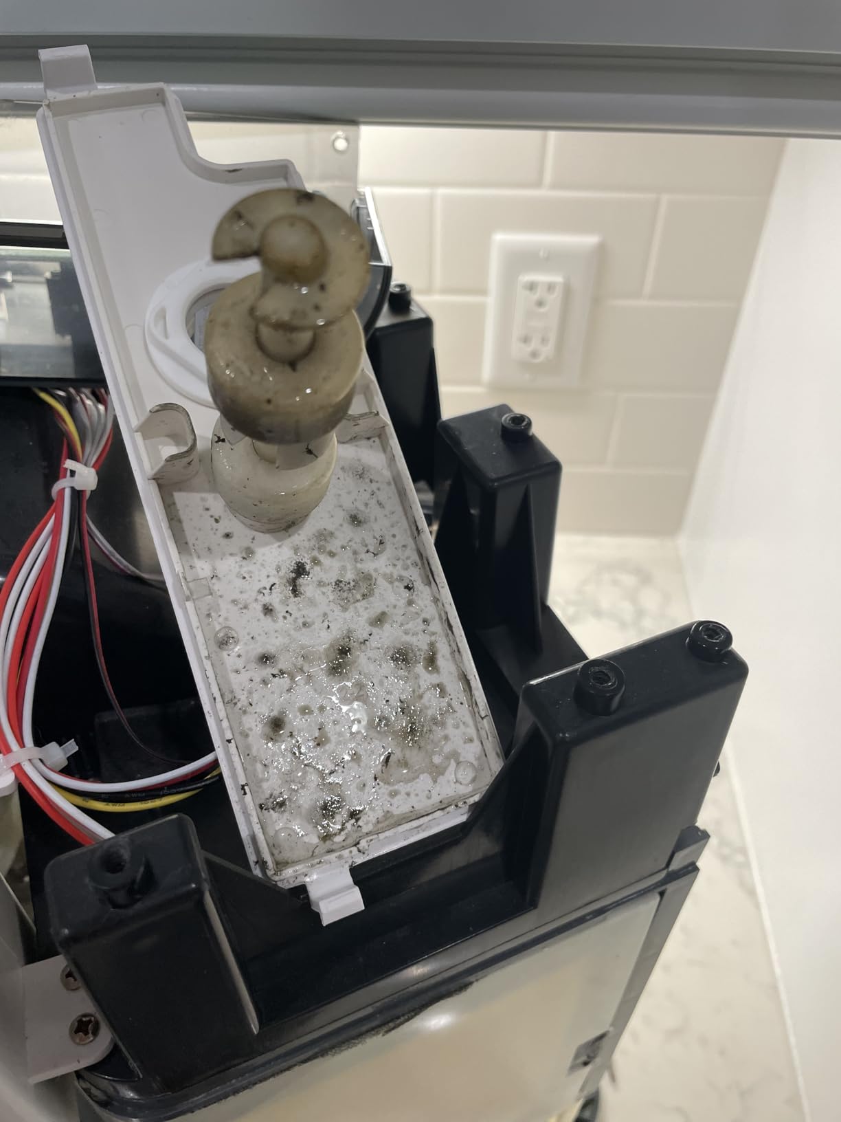 GE Profile Opal 2.0 XL with 1 Gallon Tank, Chewable Crunchable Countertop Nugget Ice Maker, Scoop included, 38 lbs in 24 hours, Pellet Ice Machine with WiFi & Smart Connected, Stainless Steel customer photo 2