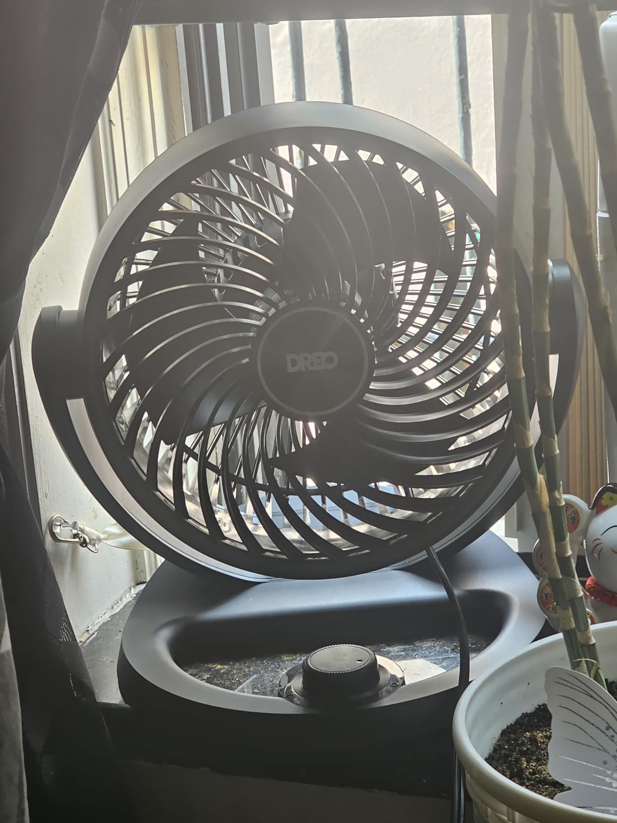 DREO Fan for Bedroom, 12 Inches, 70ft Powerful Airflow, 25db Quiet Table Air Circulator Fans for Whole Room, 120 Degree Adjustable Tilt, 3 Speeds, Desktop Fan for Home, Office, Kitchen customer photo 1
