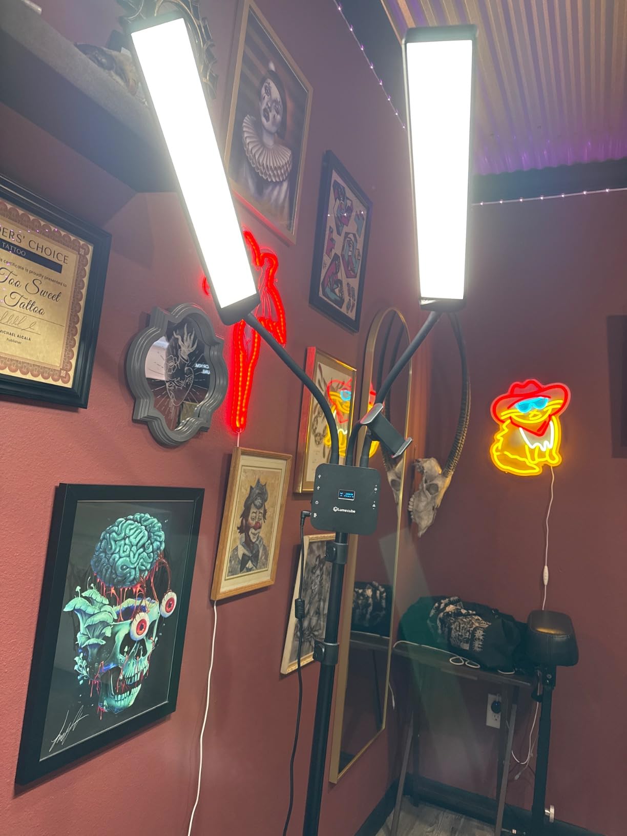 Lume Cube Flex Light Pro - Portable Dual LED Lamp with Tripod and Phone Holder Mount | Flexible 2-Point LED Lights for Tattoo Artists, Beauticians, Aestheticians, Lash Artists, and Content Creators customer photo 1