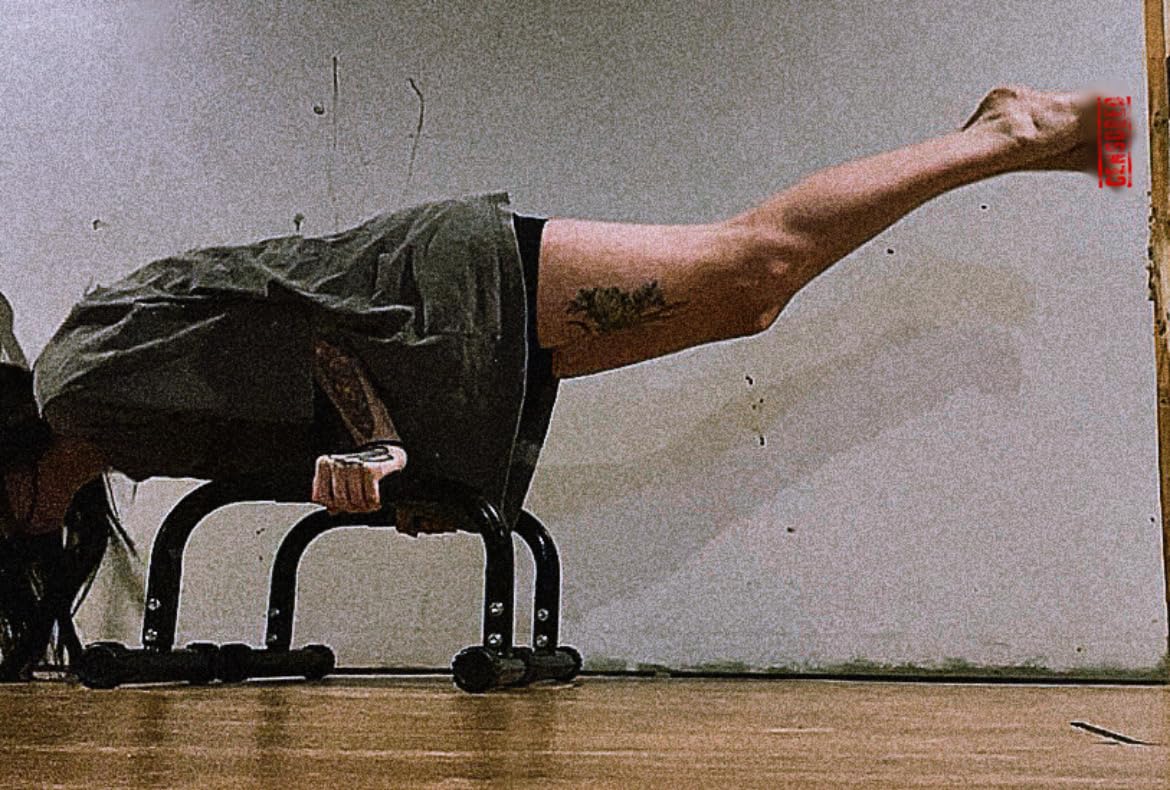 AmazeFan Parallettes Bars, Push Up Bars Strength Training For Handstands, Full Planche & Dips, Calisthenic, Gymnastic, [16.6x10x10in] Push Up Stands Handle for Floor Workouts Calisthenics Equipment customer photo 1