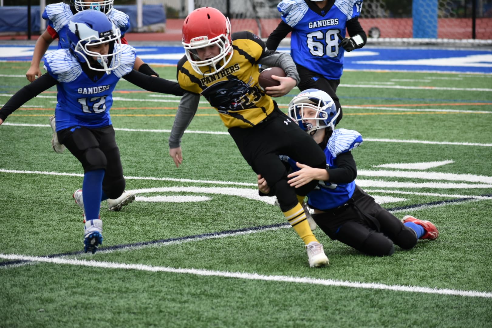 NEEWER Camera Rain Cover, Large Size Durable Nylon Raincoat Compatible with Canon Sony Nikon DSLR Mirrorless Vlog Camera & Lenses 300/400/500/600/800mm, with Sleeves/Drawstrings/Viewing Window, PB004 customer photo 1