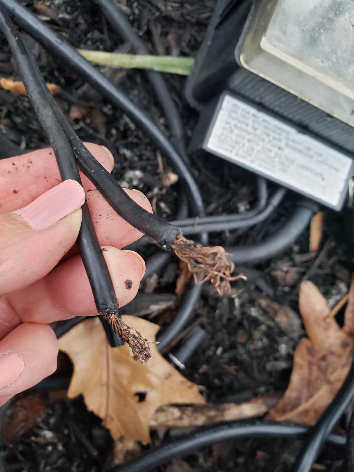 DEWENWILS 150W Low Voltage Landscape Transformer with Photocell Sensor, 120V AC to 12V/15V AC, Low Voltage Transformer for LED Landscape Lights, Spotlight, Weatherproof Stainless Steel, ETL Listed customer photo 2