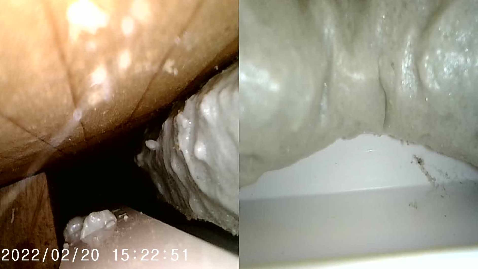 50FT Sewer Inspection Camera, DEPSTECH 1080P Dual Lens Endoscope with Lights, 5