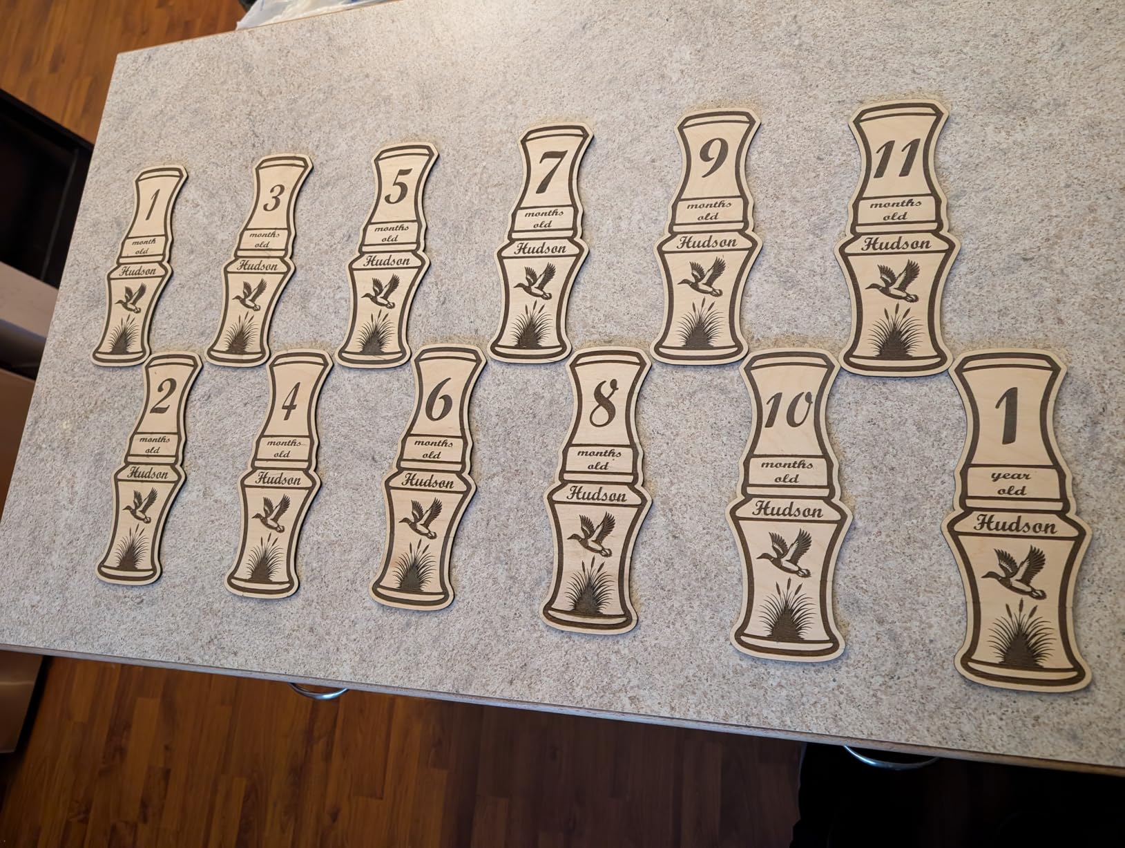 Longer RAY5 20W Laser Engraver with Air Pump and 17.3