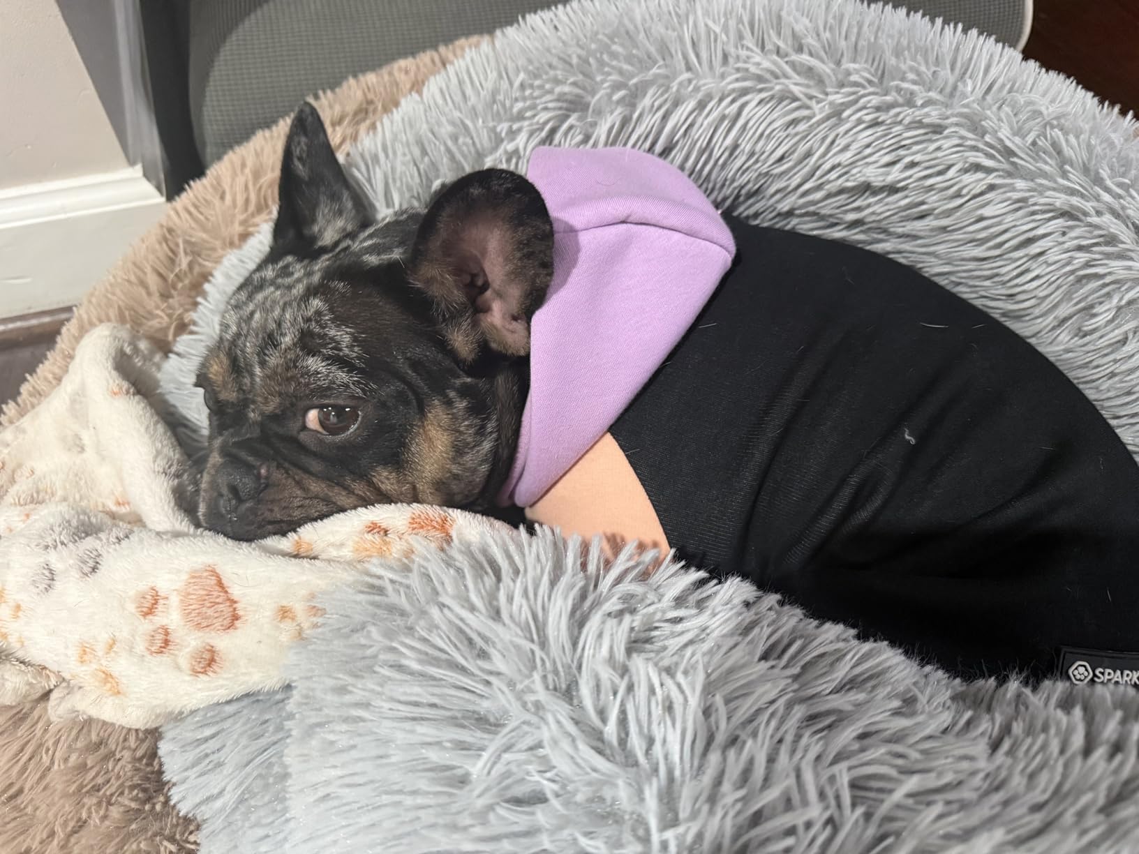 Spark Paws Dog Hoodie - Premium Dog Sweater for Small, Medium, and Large Dogs | Warm Outfits for French Bulldogs, Pitbull, Puppy, Winter Jacket Alternative - Green Plaid - L customer photo 2