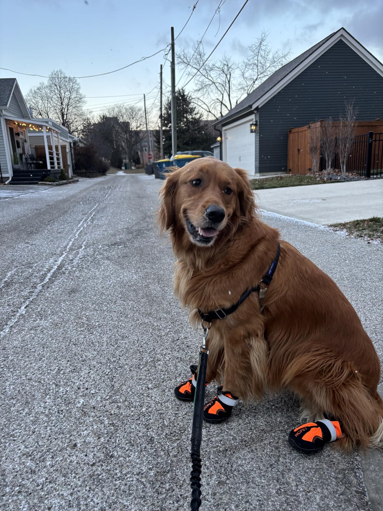 Hcpet Dog Boots, Dog Shoes for Large Dogs, Medium Dog Boots & Paw Protectors, Anti-Slip Dog Booties for Hot Pavement Winter Snow Hiking with Reflective Straps Pink Size 6 customer photo 1