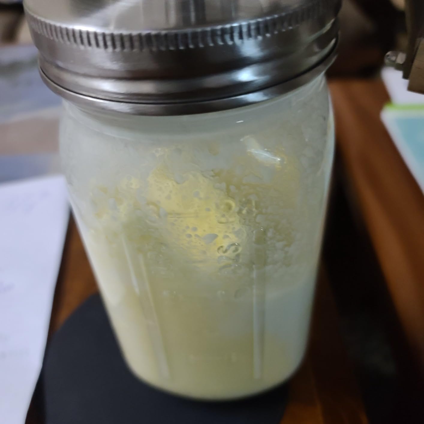 Premium Butter Churner - Makes Fresh Homemade Butter in 10 Minutes | 32oz Glass Jar with Stainless Steel Paddle | Hand Crank Butter Maker | Easy to Use & Clean | Perfect for Family Kitchen Fun customer photo 2