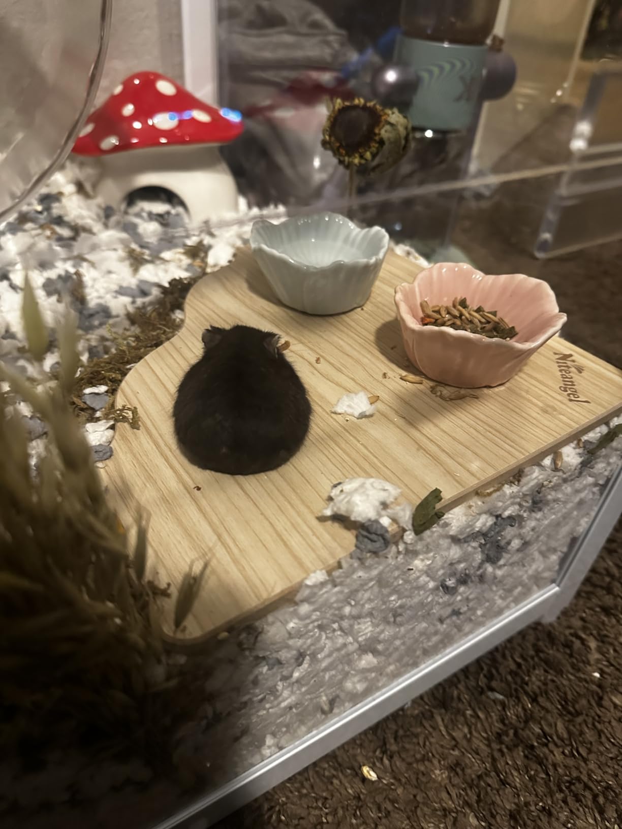 BUCATSTATE Hamster Cage Metal 2.0 - Large Hamster Enclosure Stackable with Top Access Easy Assemble 39.3L*19.7W*20.6H Inches (774sq inch White) customer photo 1