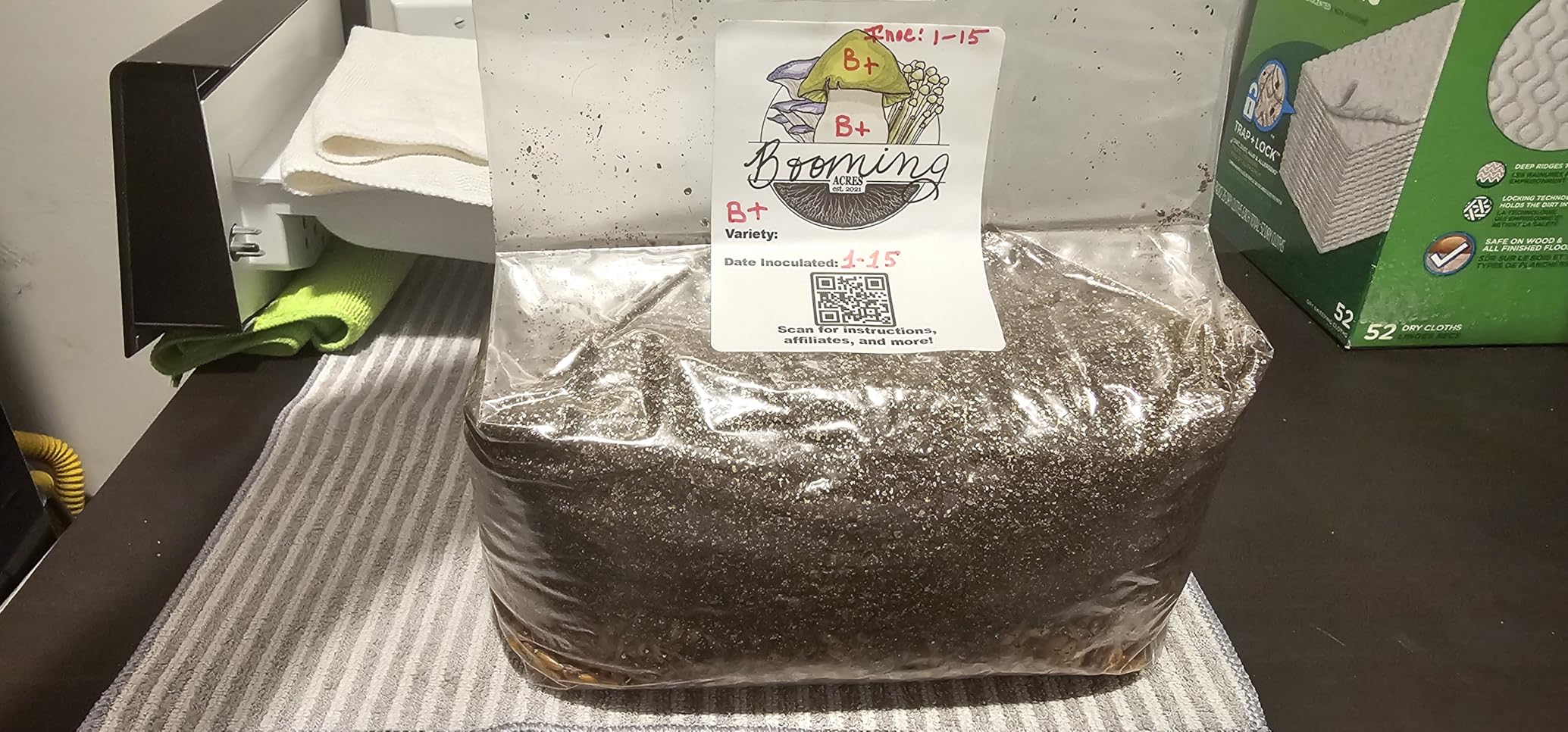 | The Magical 5lb All-in-One Mushroom Grow Bag | Mushroom Grow Kit | Harvest Your own Happiness | Discover The Magic of Growing Mushrooms - 5lb Grow Bag Mushroom Starter Kit customer photo 1