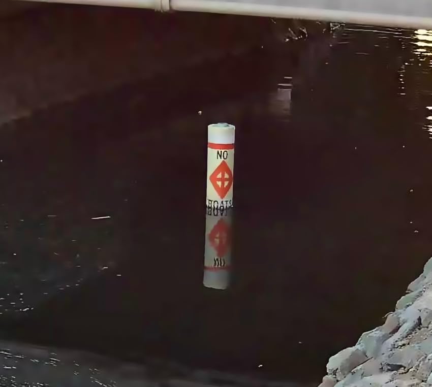 REOLINK 4K Outdoor Plug-in WiFi 6 Security Camera, PTZ Camera for Home Security, Wi-Fi 6 New Tech, Motion Tracking, Smart Detection, 3X Optical Zoom, Motion Spotlight, Local Storage, E1 Outdoor Pro customer photo 2