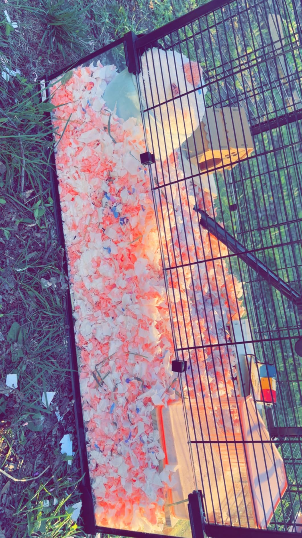 PawHut Large Hamster Cage with Deep Tempered Glass Bottom, 3 Tiers Hamster Tank with Running Wheel, Hut, Water Bottle, Dish, 23.5