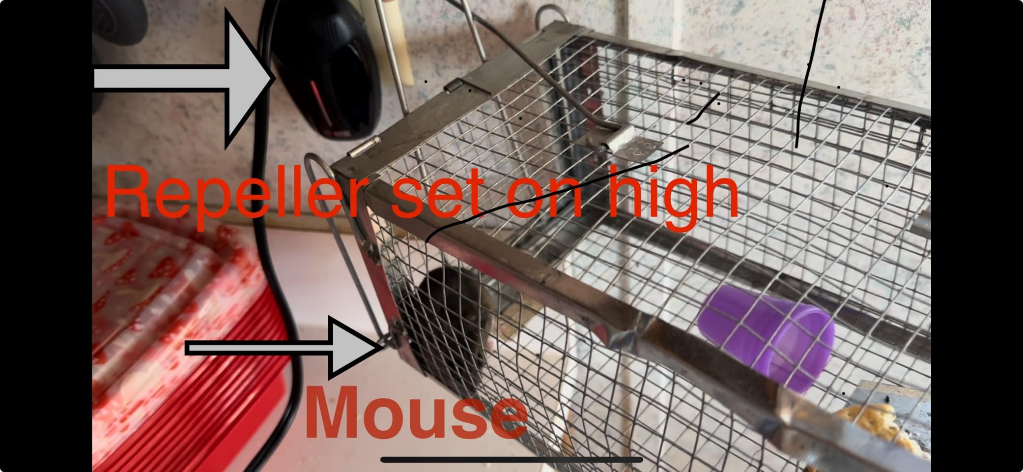 Upgraded Ultrasonic Repeller & Insect Indoor Repeller,Ultrasonic and Repellent for Roach,Rodent,Mouse,Bugs,Mosquito,Mice,Spider,Ant,3 Mode Switching,6 Packs customer photo 2