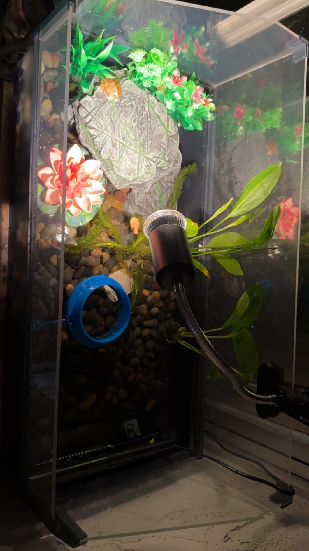 Large Turtle Tank Kit for Aquatic Turtles - Complete Starter Habitat with Filter, UVB Lamp, Basking Platform, Plants, Feeding Ring - Turtle Aquarium Kit (Black) customer photo 1