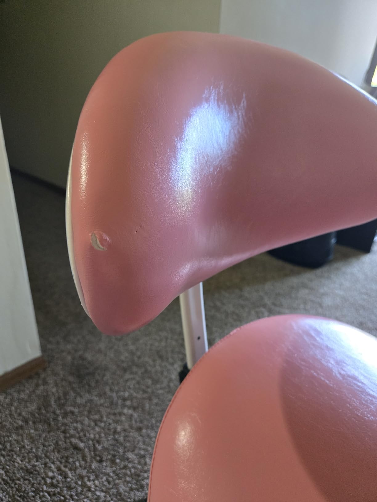 Antlu Saddle Stool Chair with Back Support, Ergonomic Esthetician Stool Chair for Salon Tattoo Spa Medical Dentist Clinic (with Backrest, Black) customer photo 2