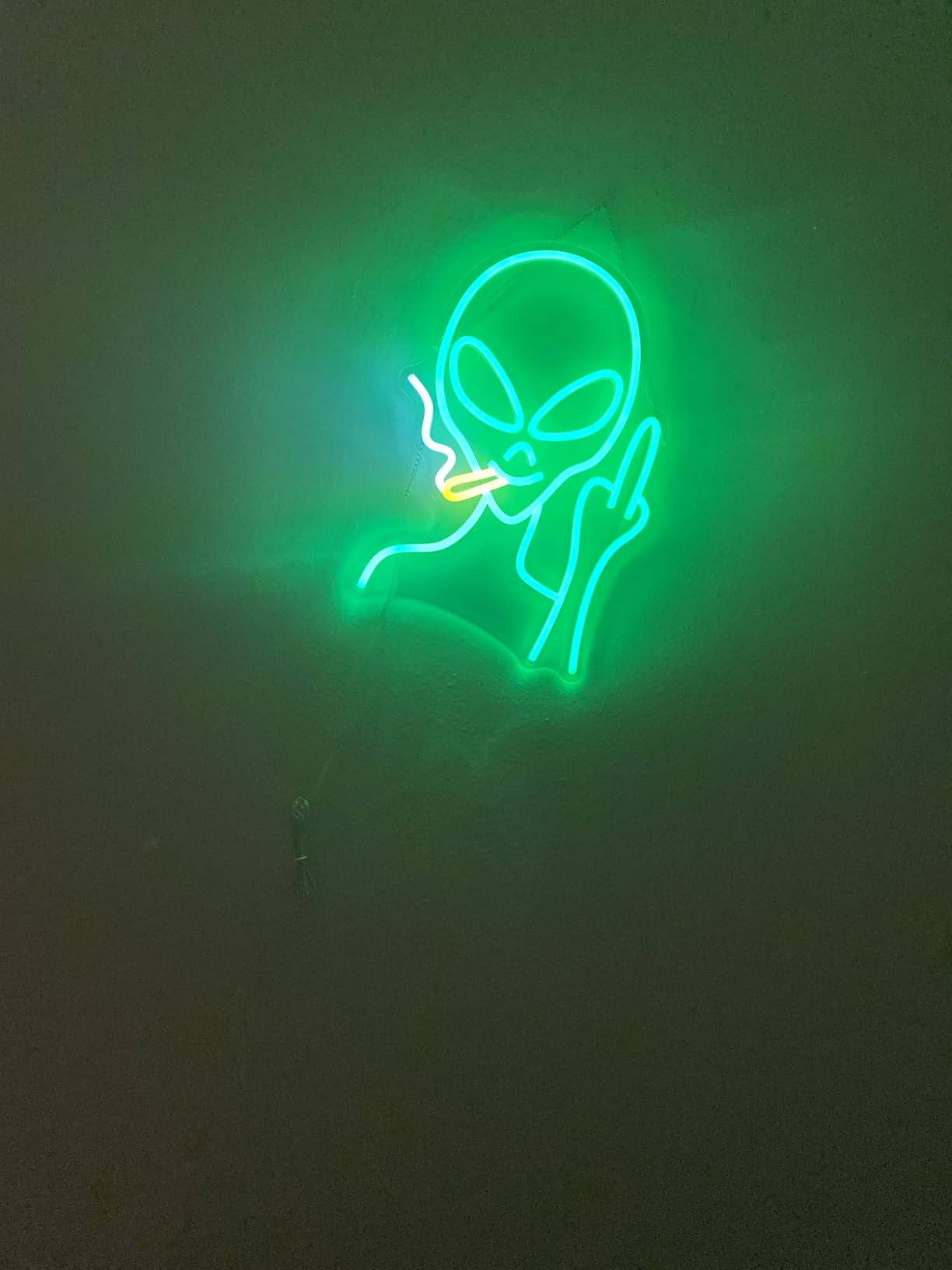 Green Alien Neon Signs, Dimmable LED Neon Signs for Wall Decor Bedroom Man Cave Game Room Home Bar Party Decor, LED Alien Neon Light for Kids Birthday Gift (Green Alien) customer photo 1