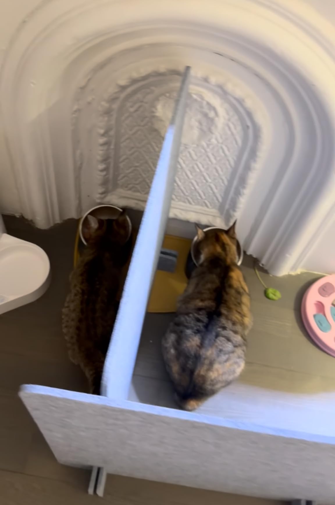 Kisston 6 Pack Acoustic Desk Divider Desk Partition 24 x 24 inch Stand Up Freestanding Desk Privacy Panel Noise and Visual Distractions Reducing Table Divider customer photo 2